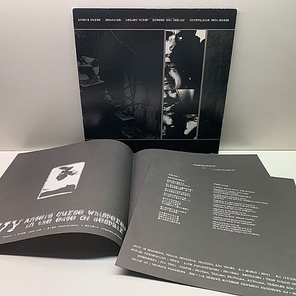 新品 限定250枚 レコード Envy - The Fallen Crimson Amazon.co.jp: 【名盤！】X JAPAN THE WORLD ザ・ワールド