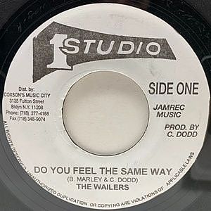 レコード画像：WAILERS / Do You Feel The Same Way / Destiny