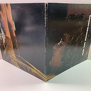 レコードサブ画像：2