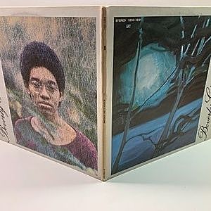 レコードサブ画像：2