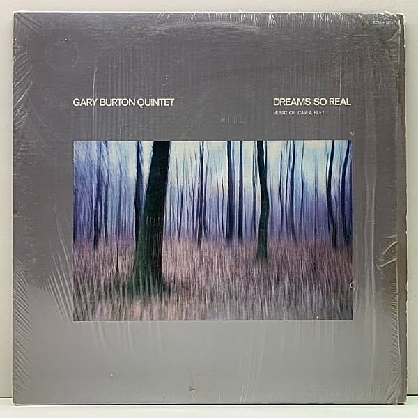 レコードメイン画像：【PAT METHENY & MICK GOODRICK】w/シュリンク USオリジナル GARY BURTON QUINTET Dreams So Real - Music Of Carla Bley ('76 ECM)
