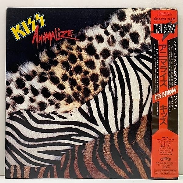 レコードメイン画像：掛け帯付き 美盤!! 国内 JPNオリジナル KISS Animalize ('84 Casablanca) Paul Stanley prod. キッス／アニマライズ