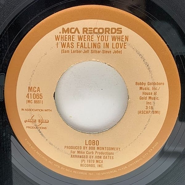 レコードメイン画像：【AOR〜ライトメロウ傑作】USオリジナル 7インチ LOBO Where Were You When I Was Falling In Love ('79 MCA) ロボ 君の面影 45RPM.