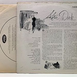 レコードサブ画像：2