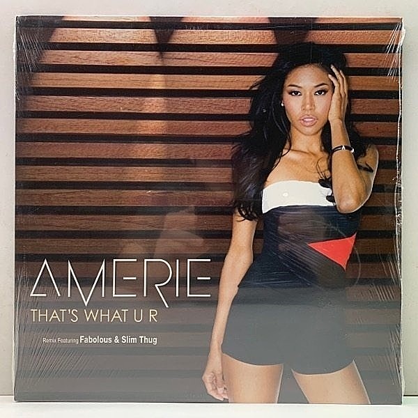 レコードメイン画像：【シールド未開封】極美品 USオンリー 12インチ AMERIE That's What U R - Remix / Some Like It ('07 Up Above) FABOLOUS & SLIM THUG