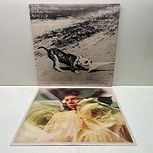 レコードサブ画像：2