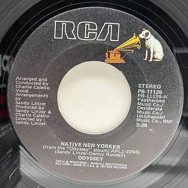 レコードメイン画像：【メロウ・ディスコ・クラシック】USオリジナル ODYSSEY Native New Yorker / Ever Lovin' Sam ('77 RCA) フリーソウル 名曲 45RPM.