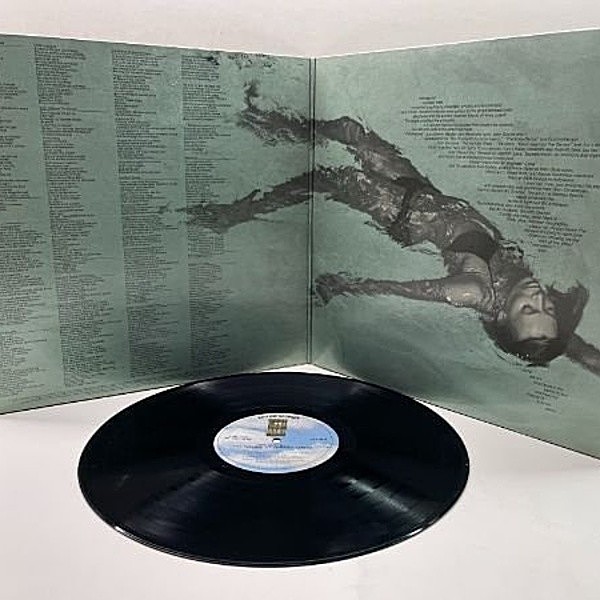 JONI MITCHELL / The Hissing Of Summer Lawns (LP) / Asylum