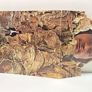 レコードサブ画像：2