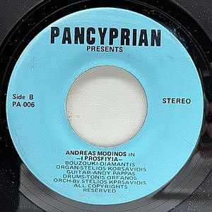 レコードサブ画像：2