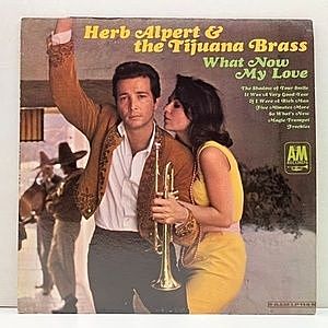 レコード画像：HERB ALPERT / What Now My Love