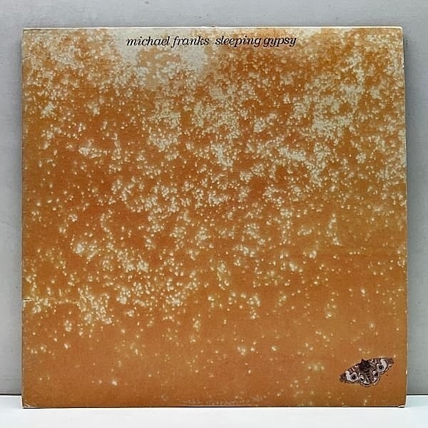 レコードメイン画像：Cut無し!良好! USオリジ 初版パームツリー MICHAEL FRANKS Sleeping Gypsy マイケル・フランクス w/Michael Brecker, Joao Donato AOR名盤