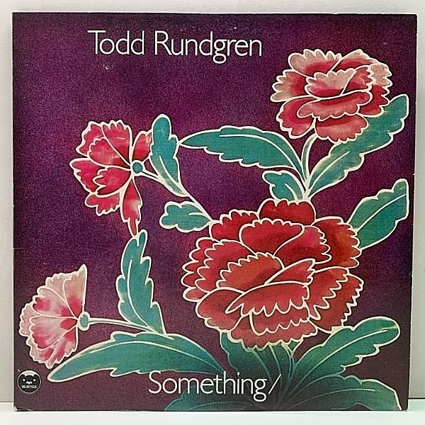 レコードメイン画像：レアな美品!! 蛇腹ポスター付き 2LP 米リム無し R付き TODD RUNDGREN Something Anything (Bearsville) I Saw The Light, Hello It's Me