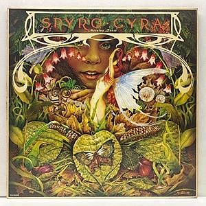 レコード画像：SPYRO GYRA / Morning Dance