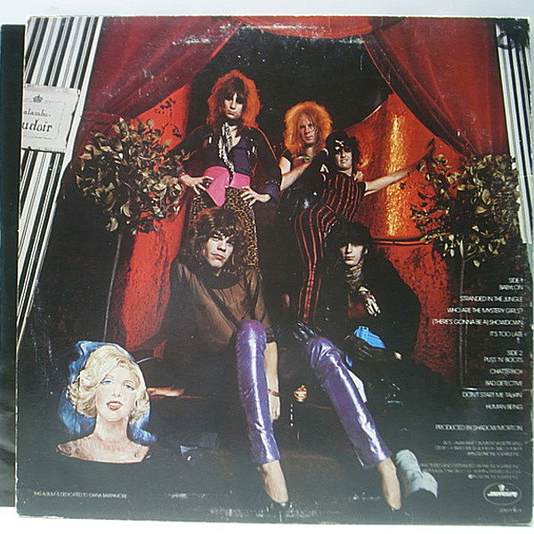 NEW YORK DOLLS / In Too Much Too Soon (LP) / Mercury
