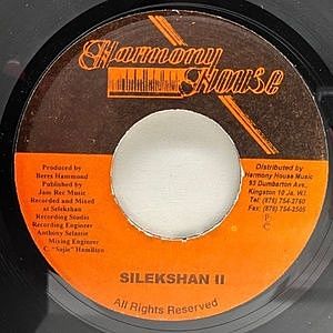 レコードサブ画像：2