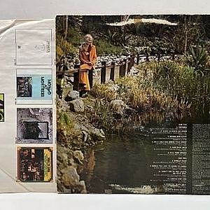 レコードサブ画像：2