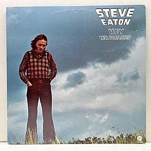 レコード画像：STEVE EATON / Hey Mr. Dreamer
