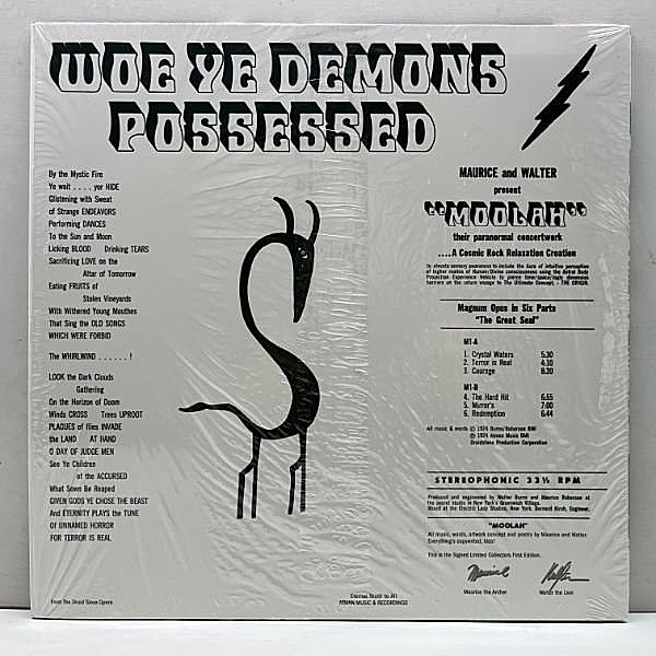 洋楽 Moolah / Woe Ye Demons Possessed MOOLAH / Woe Ye Demons Possessed (LP) / Atman Music & Recordings