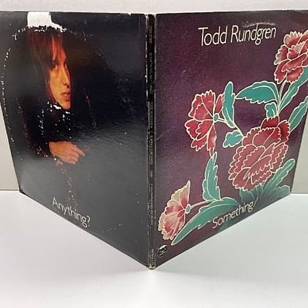 TODD RUNDGREN / Something/Anithing? (LP) / Bearsville