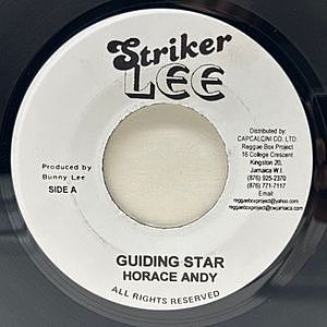 レコード画像：HORACE ANDY / KING TUBBY / Guiding Star / Dub Star