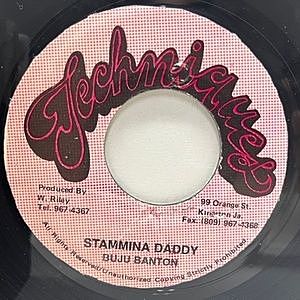 レコード画像：BUJU BANTON / Stamina Daddy