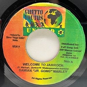 レコード画像：DAMIAN JR.GONG MARLEY / Welcome To Jamrock