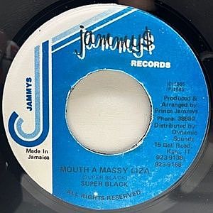 レコードサブ画像：1