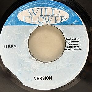 レコードサブ画像：2