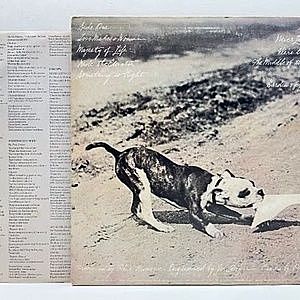 レコードサブ画像：2