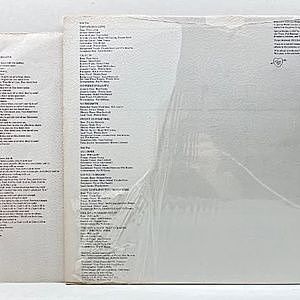 レコードサブ画像：2