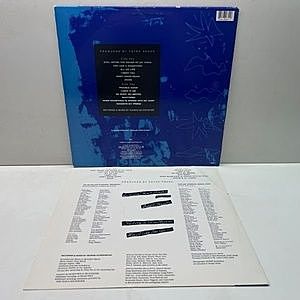 レコードサブ画像：2