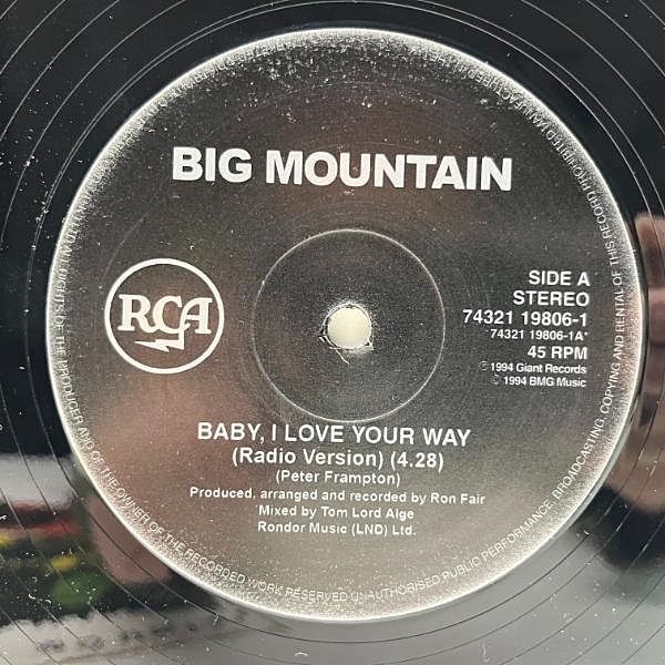 BIG MOUNTAIN / Baby, I Love Your Way (12) / RCA | WAXPEND