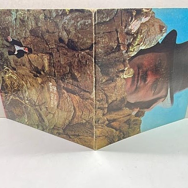 DAVE MASON / Alone Together (LP) / ABC Blue Thumb | WAXPEND