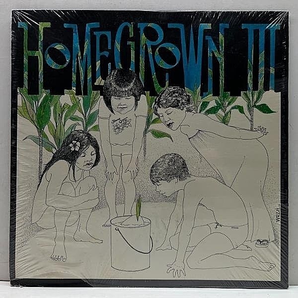 レコードメイン画像：【シールド未開封】HAWAIIAN SOUL AOR FOLK!! 自主オリジナル Home grown III Homegrown 3 (KKUA) MARVIN FRANKLIN 他 Lo-Fi, Light Mellow