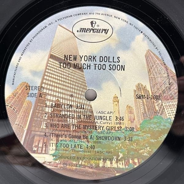 NEW YORK DOLLS / In Too Much Too Soon (LP) / Mercury
