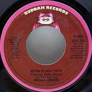 レコードサブ画像：1