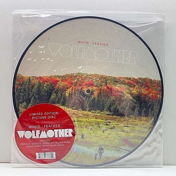 レコードメイン画像：良好!! UKオリジ 12インチ ピクチャーヴァイナル仕様 WOLFMOTHER White Feather ('10 Modular) 2nd.『Cosmic Egg』カット ウルフマザー