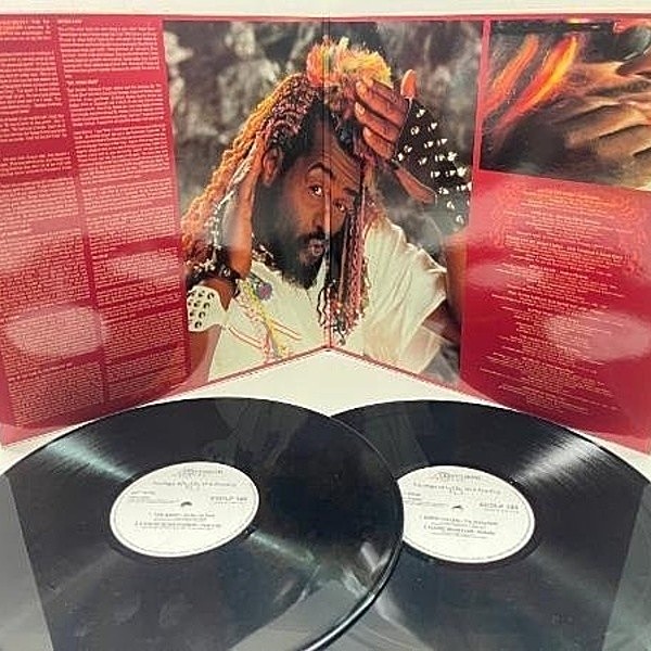 VARIOUS / George Clinton And Family Pt. 1 (LP) / Essential