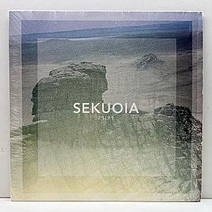 レコード画像：SEKUOIA / Trips
