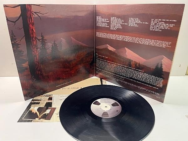WEEZER / Everything Will Be Alright In The End (LP) / Republic 