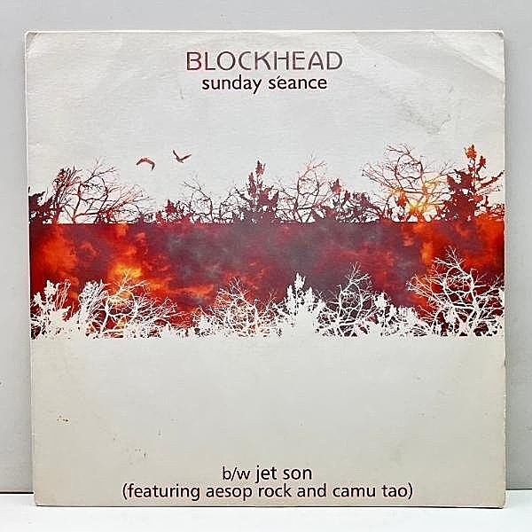 レコードメイン画像：【壮大なオーガニック・アンビエント】英 12インチ BLOCKHEAD Sunday Seance ('04 Ninja Tune) 1st.アルバム『Music By Cavelight』カット