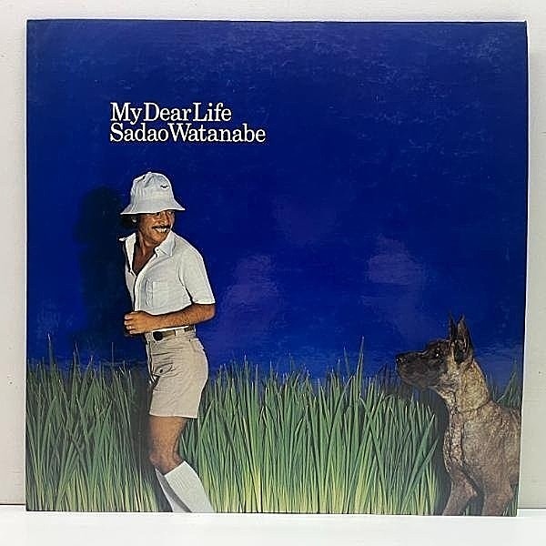 Amazon.co.jp: MY DEAR LIFE マイ・ディア・ライフ [12