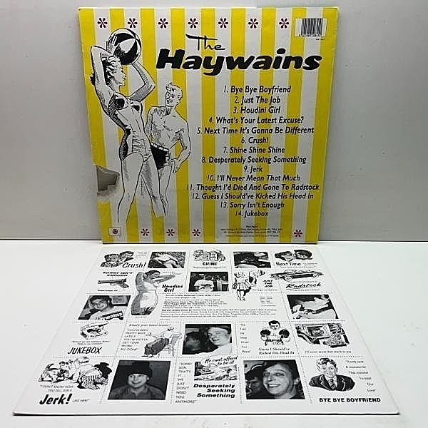 HAYWAINS / Desperately Seeking Something (LP) / Vinyl Japan