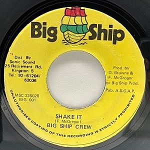 激レア　Busta Rhymes／Turn It Up　7インチレコード 激レア Busta Rhymes／Turn It Up 7インチレコード