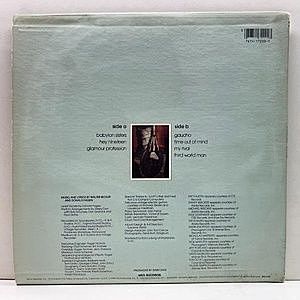 ★オマケ付★ＵＳオリジナル盤『Gaucho』他★スティーリー・ダン名盤２枚セット Steely Dan – Gaucho – Vinyl (LP, Album + 2 more), 2023