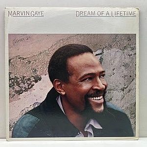 レコード画像：MARVIN GAYE / Dream Of A Lifetime