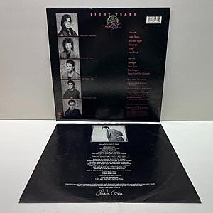 レコードサブ画像：2