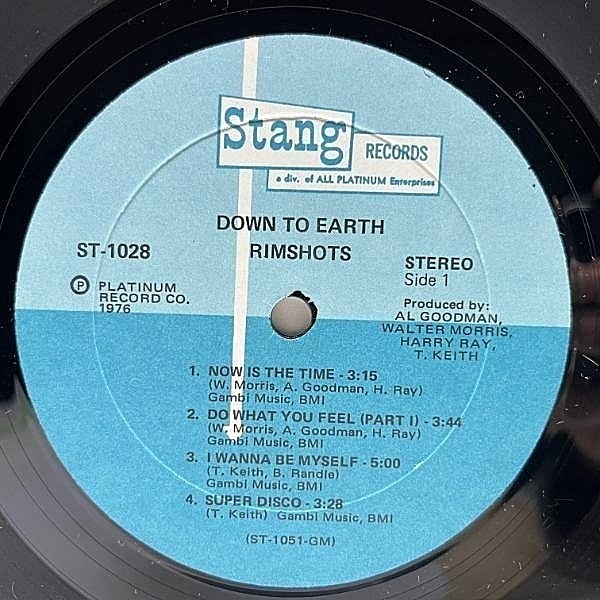 RIMSHOTS / Down To Earth (LP) / Stang | WAXPEND RECORDS