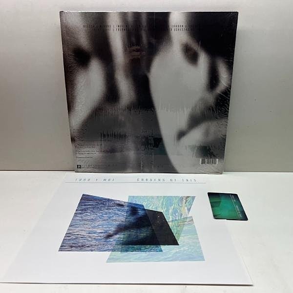 TORO Y MOI / Causers Of This (LP) / Carpark | WAXPEND RECORDS